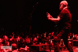 Scar Symmetry