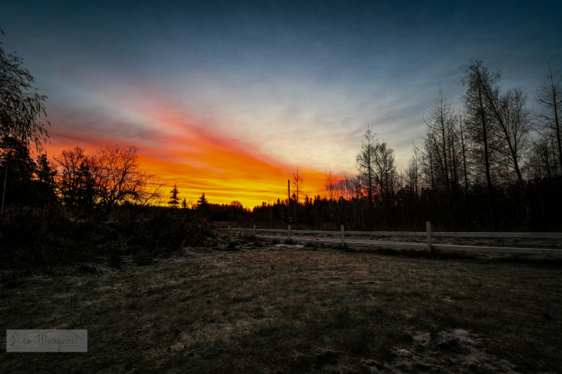 Morning on Earth